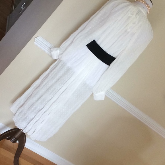 Zara white crinkle dotted Swiss button front dre - Picture 4 of 14